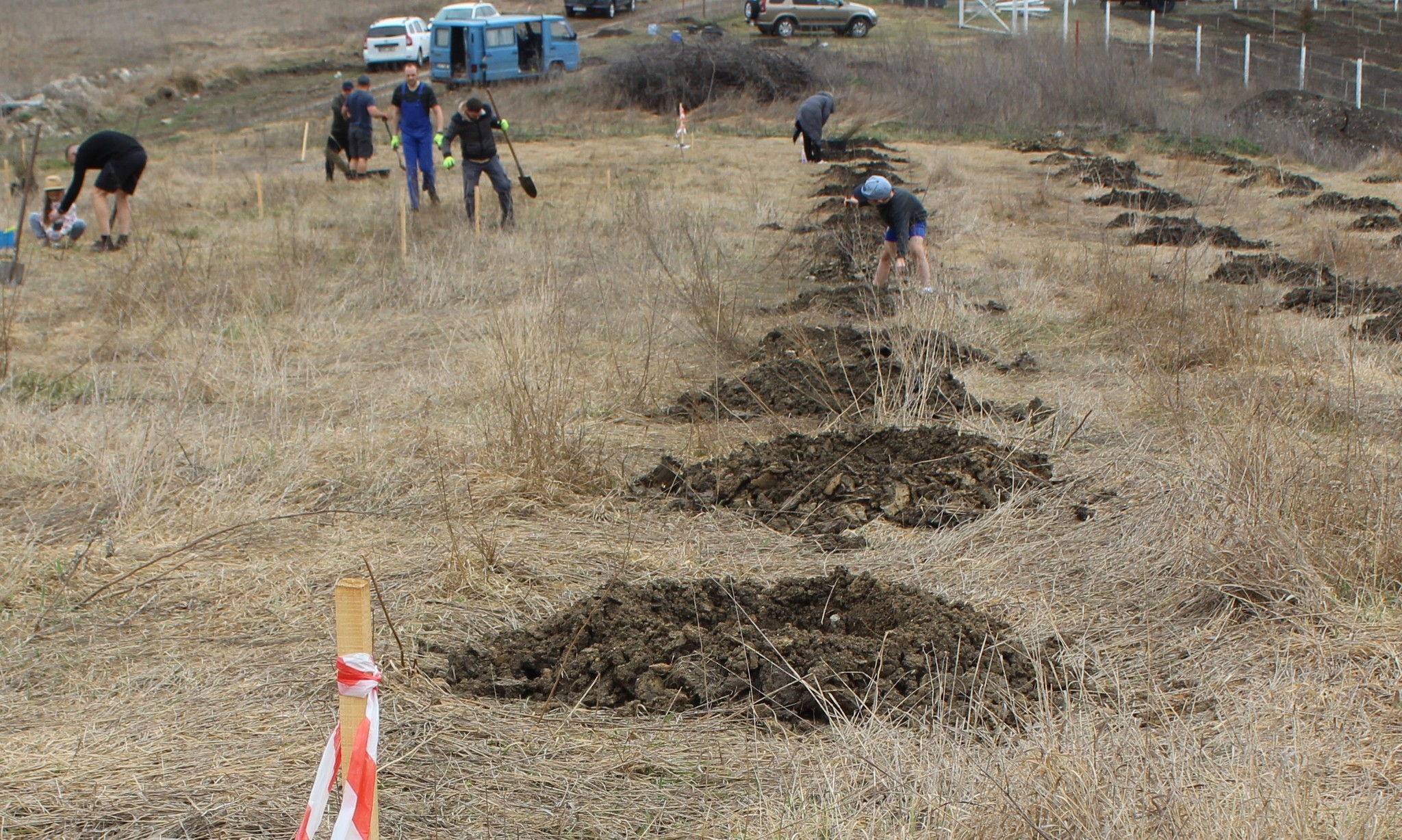 Campania de împădurire Marea Plantare Națională