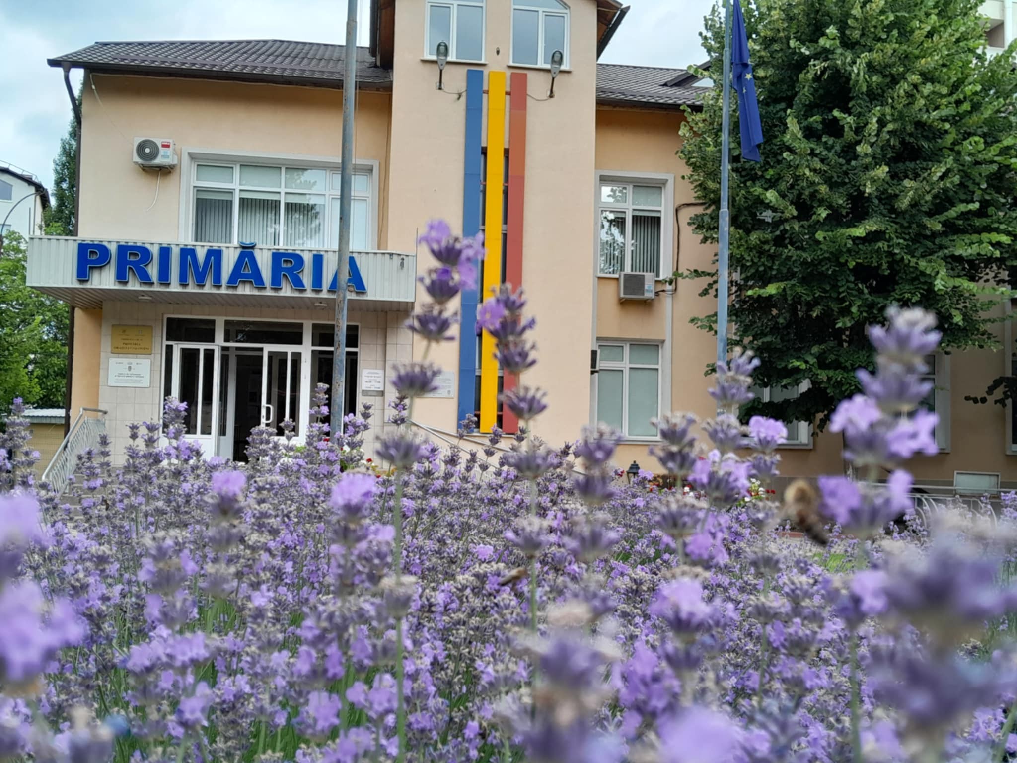 Vizita unei delegații din România în orașul Ialoveni: schimb de bune practici și noi oportunități de colaborare