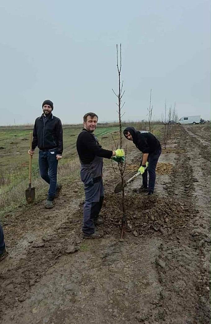 În Ialoveni continuă acțiunile de împădurire
