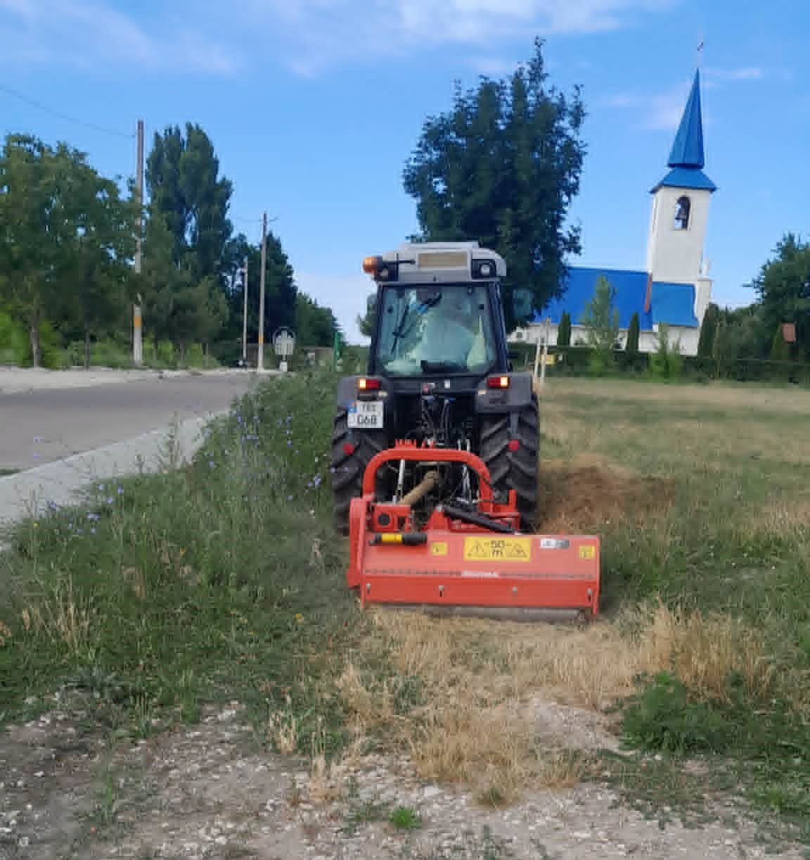ATENȚIE, AMBROZIA!