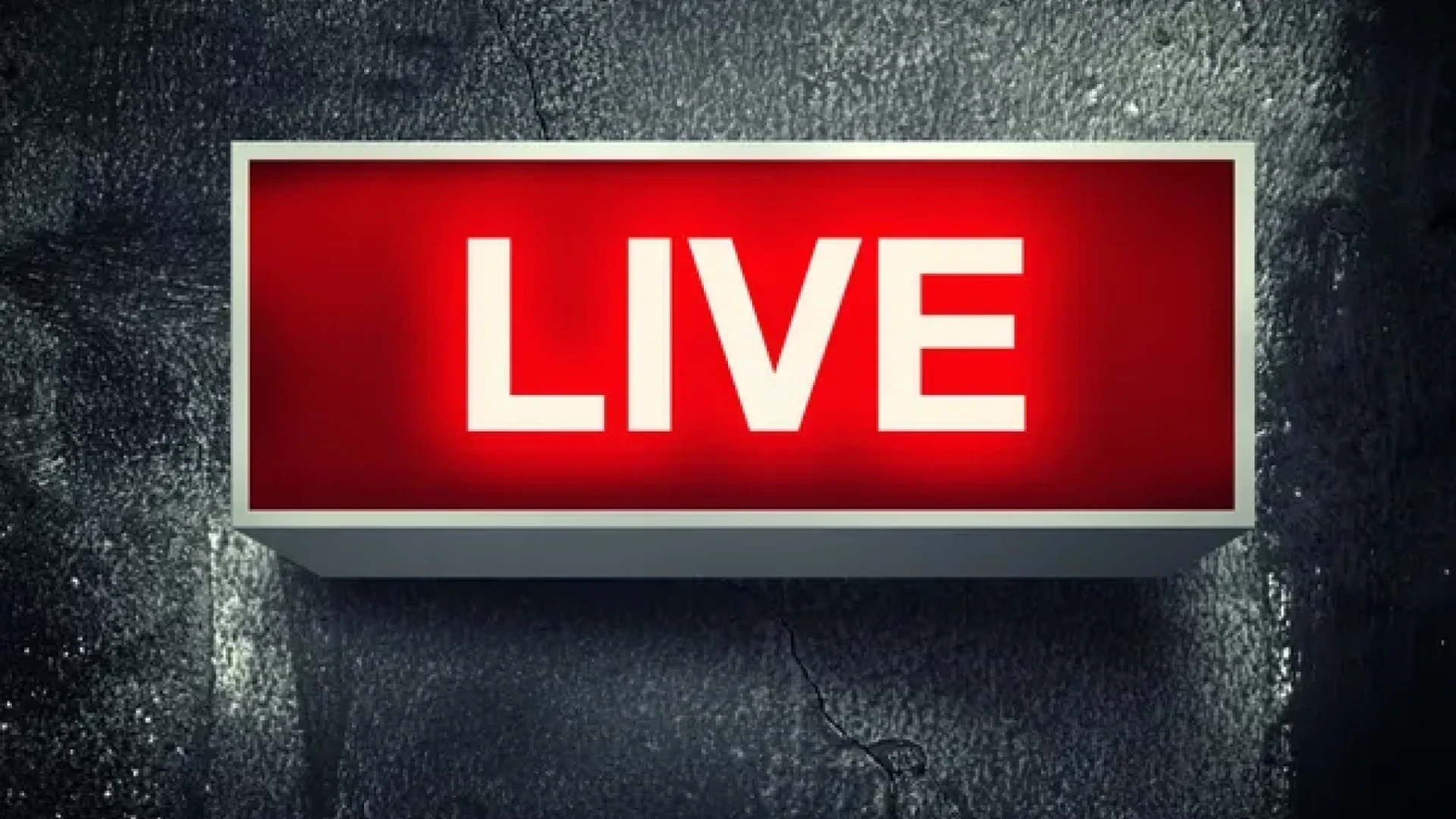 Ședințe Live 2023-2022