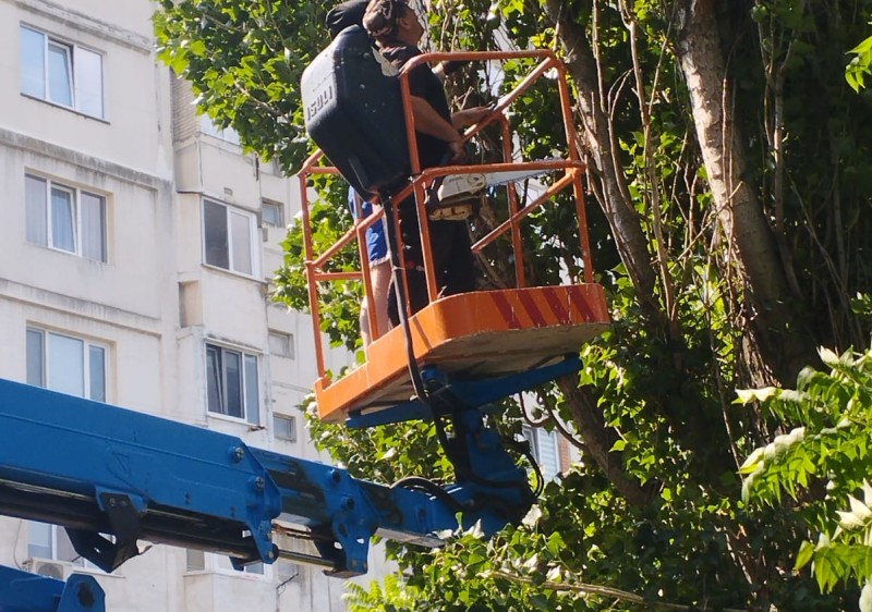 𝐋𝐮𝐜𝐫𝐚̆𝐫𝐢 𝐝𝐞 𝐢̂𝐧𝐭𝐫𝐞𝐭̦𝐢𝐧𝐞𝐫𝐞 𝐚 𝐬𝐩𝐚𝐭̦𝐢𝐢𝐥𝐨𝐫 𝐯𝐞𝐫𝐳𝐢 𝐢̂𝐧 𝐨𝐫𝐚𝐬̦𝐮𝐥 𝐈𝐚𝐥𝐨𝐯𝐞𝐧𝐢: 𝐝𝐞𝐟𝐫𝐢𝐬̦𝐚𝐫𝐞𝐚 𝐚𝐫𝐛𝐨𝐫𝐢𝐥𝐨𝐫 𝐮𝐬𝐜𝐚𝐭̦𝐢 𝐬̦𝐢 𝐢̂𝐧𝐠𝐫𝐢𝐣𝐢𝐫𝐞𝐚 𝐳𝐨𝐧𝐞𝐥𝐨𝐫 𝐩𝐮𝐛𝐥𝐢𝐜𝐞