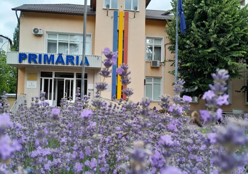 Vizita unei delegații din România în orașul Ialoveni: schimb de bune practici și noi oportunități de colaborare