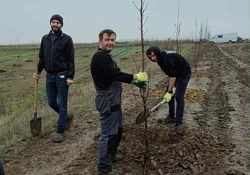 În Ialoveni continuă acțiunile de împădurire