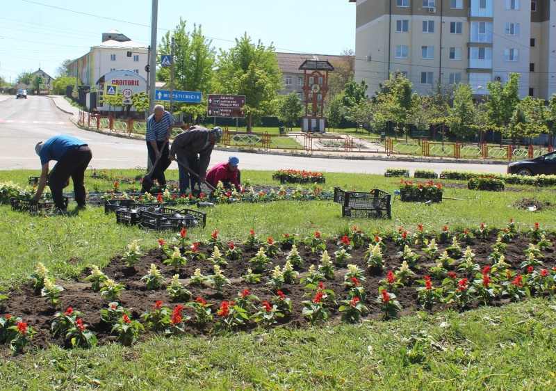 Orașul Ialoveni