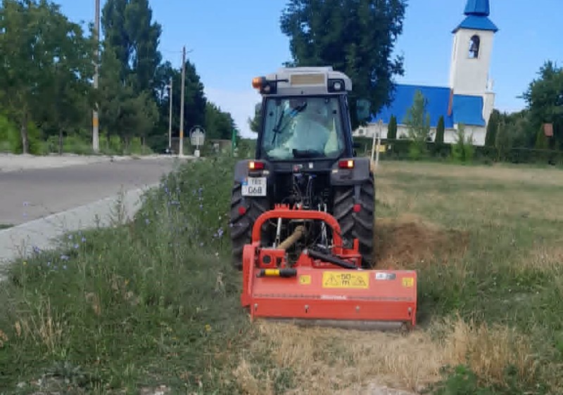 ATENȚIE, AMBROZIA!